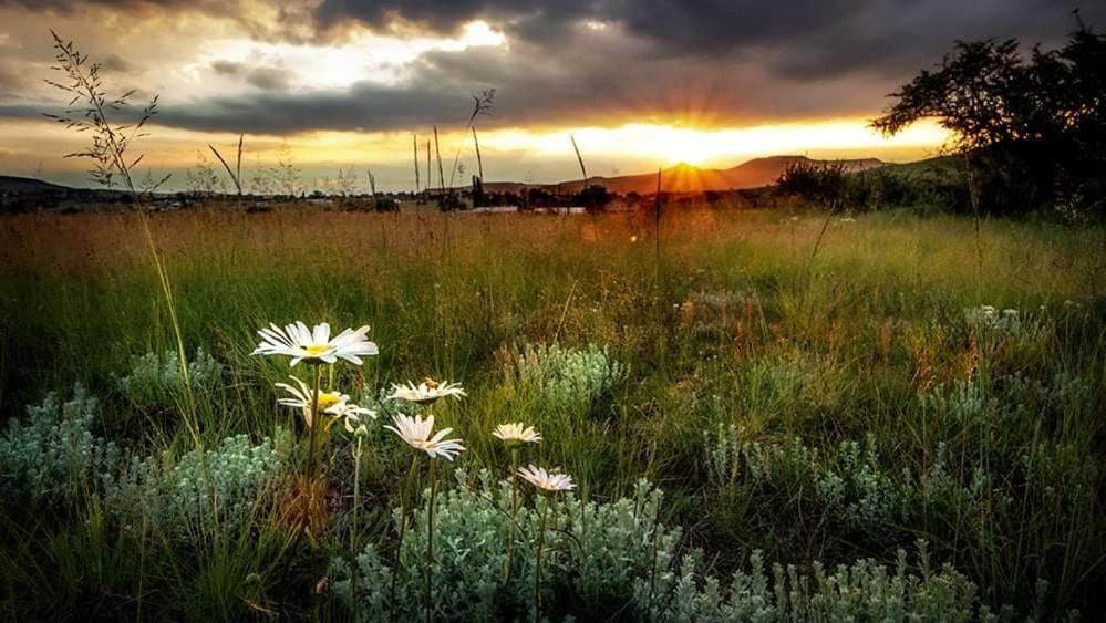 Wetlands Country House & Sheds Wakkerstroom Dış mekan fotoğraf