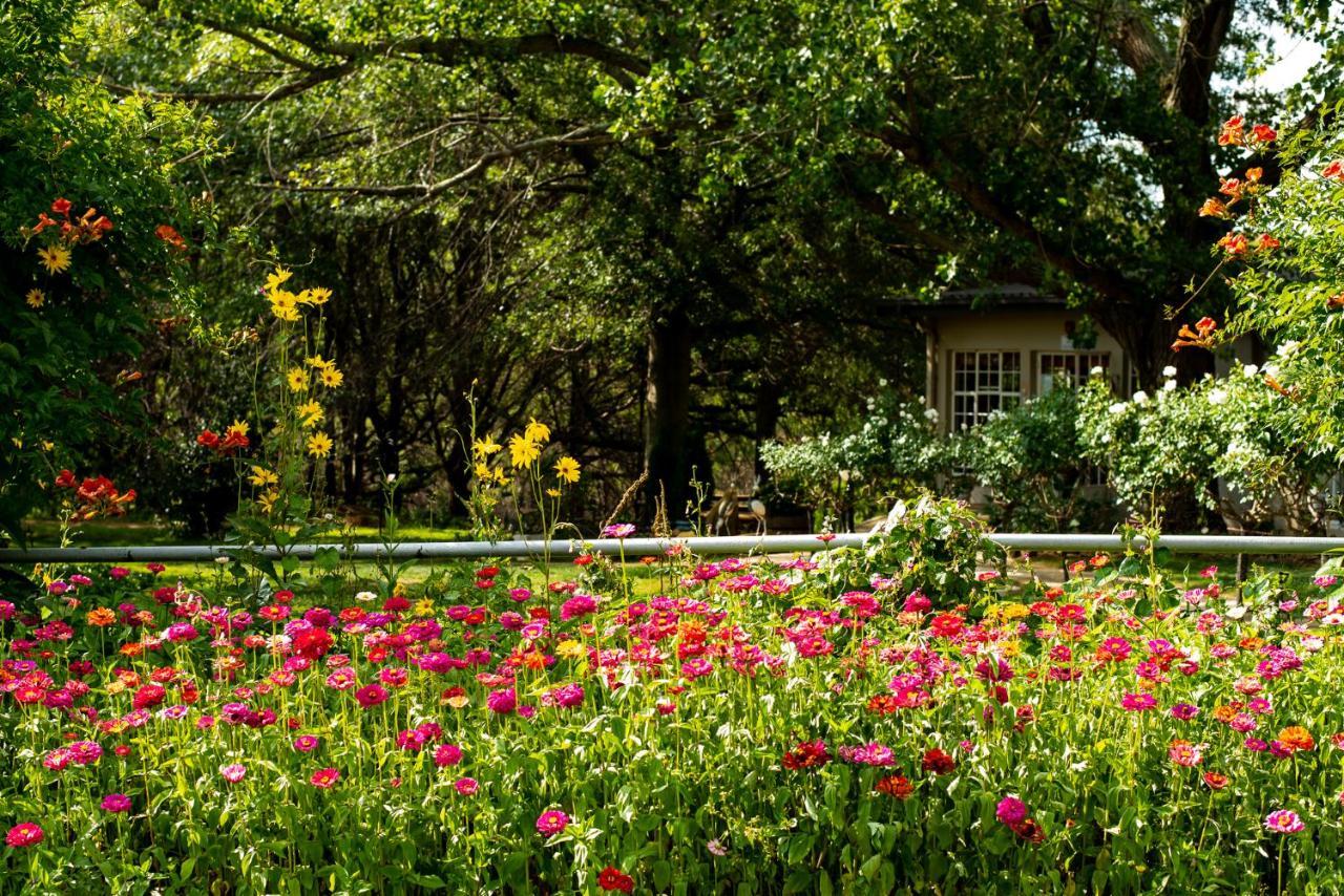Wetlands Country House & Sheds Wakkerstroom Dış mekan fotoğraf
