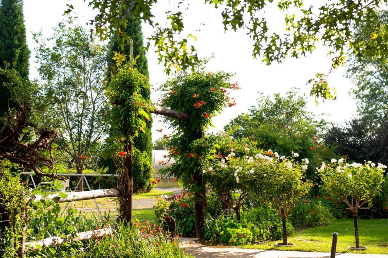 Wetlands Country House & Sheds Wakkerstroom Dış mekan fotoğraf